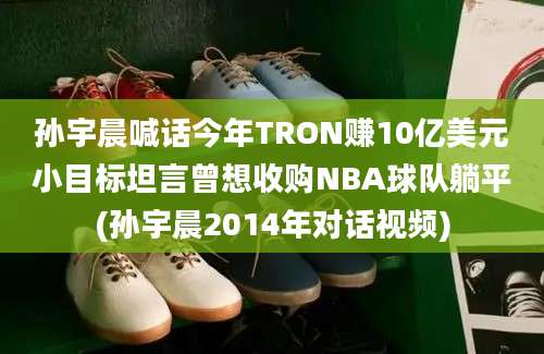 孙宇晨喊话今年TRON赚10亿美元小目标坦言曾想收购NBA球队躺平(孙宇晨2014年对话视频)