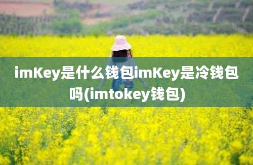 imKey是什么钱包imKey是冷钱包吗(imtokey钱包)