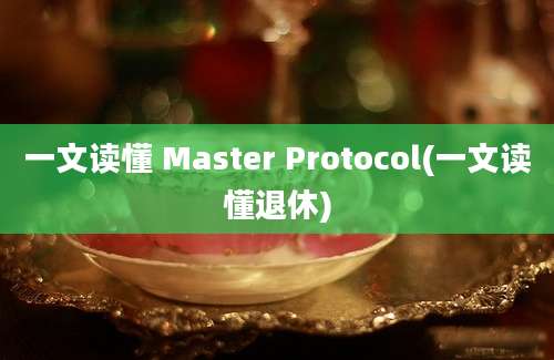 一文读懂 Master Protocol(一文读懂退休)