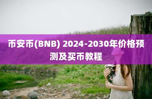 币安币(BNB) 2024-2030年价格预测及买币教程