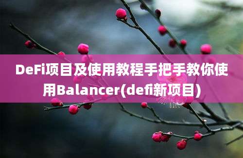 DeFi项目及使用教程手把手教你使用Balancer(defi新项目)