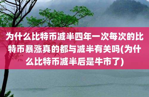 为什么比特币减半四年一次每次的比特币暴涨真的都与减半有关吗(为什么比特币减半后是牛市了)