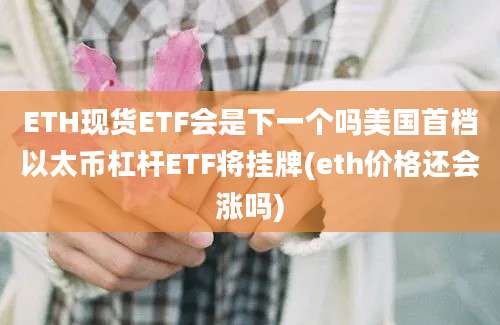 ETH现货ETF会是下一个吗美国首档以太币杠杆ETF将挂牌(eth价格还会涨吗)