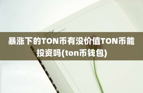 暴涨下的TON币有没价值TON币能投资吗(ton币钱包)