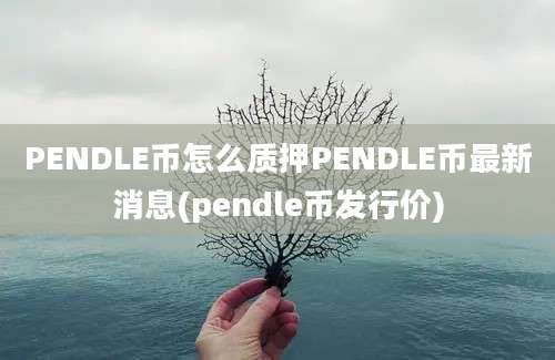 PENDLE币怎么质押PENDLE币最新消息(pendle币发行价)