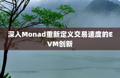 深入Monad重新定义交易速度的EVM创新