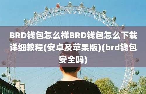 BRD钱包怎么样BRD钱包怎么下载详细教程(安卓及苹果版)(brd钱包安全吗)