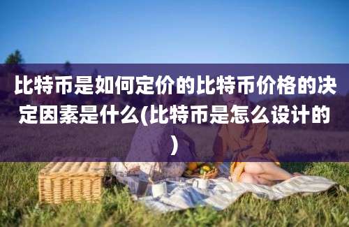 比特币是如何定价的比特币价格的决定因素是什么(比特币是怎么设计的)