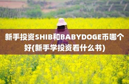 新手投资SHIB和BABYDOGE币哪个好(新手学投资看什么书)