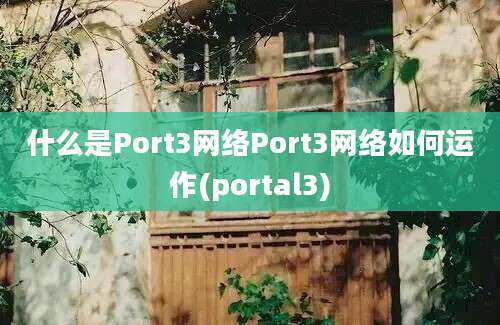 什么是Port3网络Port3网络如何运作(portal3)