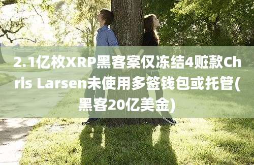 2.1亿枚XRP黑客案仅冻结4赃款Chris Larsen未使用多签钱包或托管(黑客20亿美金)