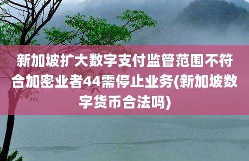 新加坡扩大数字支付监管范围不符合加密业者44需停止业务(新加坡数字货币合法吗)