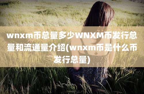 wnxm币总量多少WNXM币发行总量和流通量介绍(wnxm币是什么币发行总量)