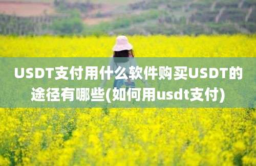 USDT支付用什么软件购买USDT的途径有哪些(如何用usdt支付)