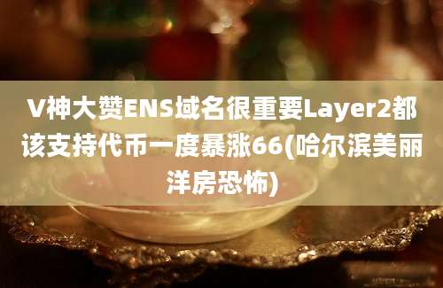 V神大赞ENS域名很重要Layer2都该支持代币一度暴涨66(哈尔滨美丽洋房恐怖)