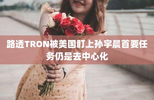 路透TRON被美国盯上孙宇晨首要任务仍是去中心化