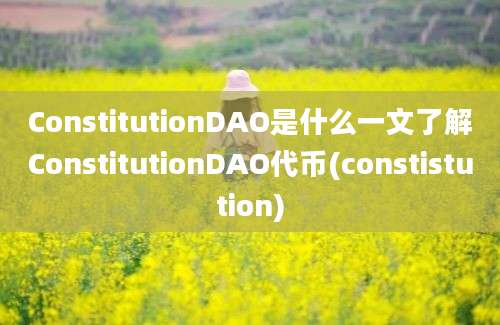 ConstitutionDAO是什么一文了解ConstitutionDAO代币(constistution)