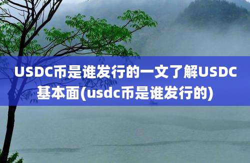 USDC币是谁发行的一文了解USDC基本面(usdc币是谁发行的)