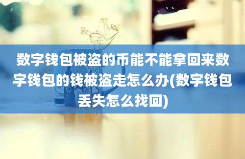 数字钱包被盗的币能不能拿回来数字钱包的钱被盗走怎么办(数字钱包丢失怎么找回)