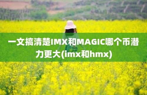 一文搞清楚IMX和MAGIC哪个币潜力更大(imx和hmx)