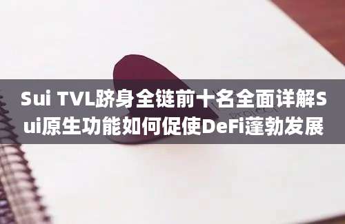 Sui TVL跻身全链前十名全面详解Sui原生功能如何促使DeFi蓬勃发展