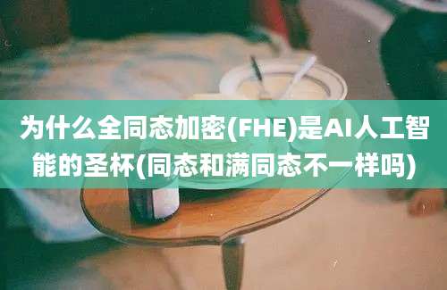 为什么全同态加密(FHE)是AI人工智能的圣杯(同态和满同态不一样吗)