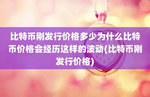 比特币刚发行价格多少为什么比特币价格会经历这样的波动(比特币刚发行价格)