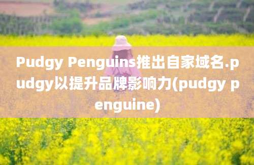 Pudgy Penguins推出自家域名.pudgy以提升品牌影响力(pudgy penguine)