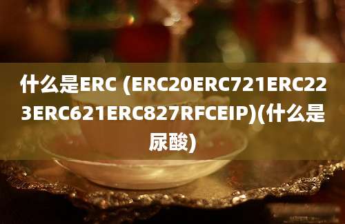 什么是ERC (ERC20ERC721ERC223ERC621ERC827RFCEIP)(什么是尿酸)