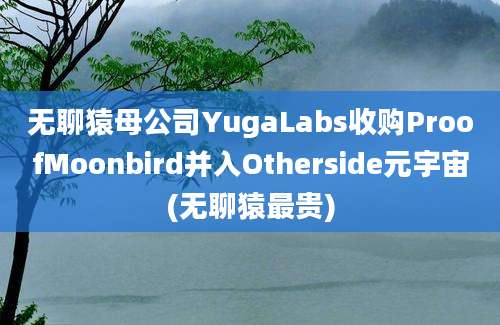 无聊猿母公司YugaLabs收购ProofMoonbird并入Otherside元宇宙(无聊猿最贵)