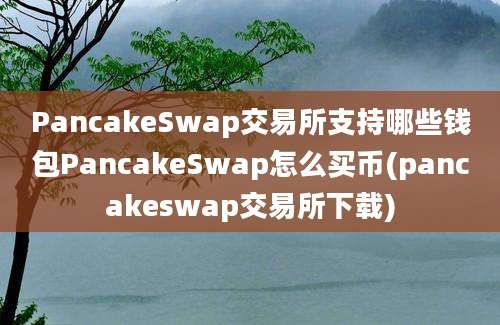 PancakeSwap交易所支持哪些钱包PancakeSwap怎么买币(pancakeswap交易所下载)