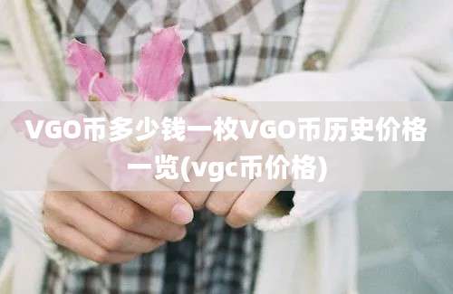 VGO币多少钱一枚VGO币历史价格一览(vgc币价格)