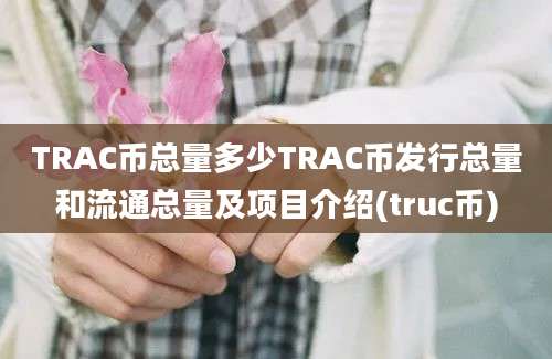 TRAC币总量多少TRAC币发行总量和流通总量及项目介绍(truc币)