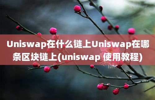 Uniswap在什么链上Uniswap在哪条区块链上(uniswap 使用教程)