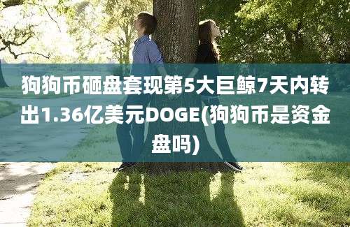 狗狗币砸盘套现第5大巨鲸7天内转出1.36亿美元DOGE(狗狗币是资金盘吗)