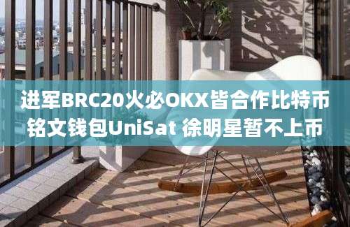 进军BRC20火必OKX皆合作比特币铭文钱包UniSat 徐明星暂不上币