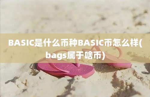 BASIC是什么币种BASIC币怎么样(bags属于啥币)