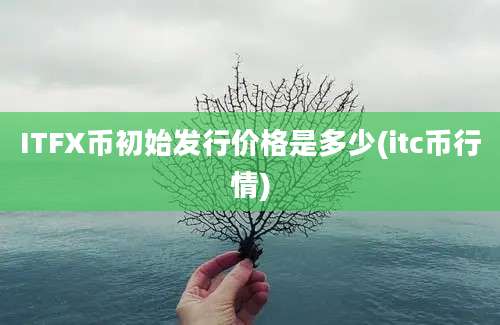 ITFX币初始发行价格是多少(itc币行情)