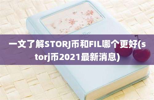 一文了解STORJ币和FIL哪个更好(storj币2021最新消息)