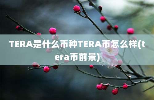 TERA是什么币种TERA币怎么样(tera币前景)