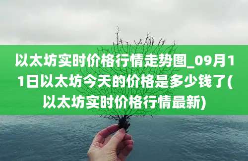 以太坊实时价格行情走势图_09月11日以太坊今天的价格是多少钱了(以太坊实时价格行情最新)