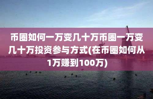 币圈如何一万变几十万币圈一万变几十万投资参与方式(在币圈如何从1万赚到100万)