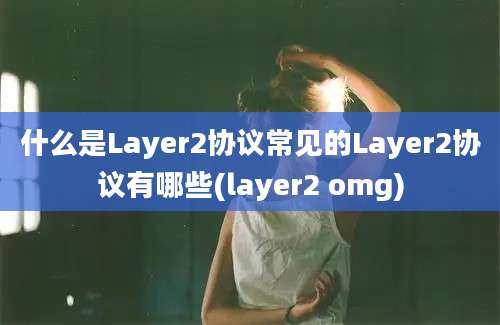 什么是Layer2协议常见的Layer2协议有哪些(layer2 omg)