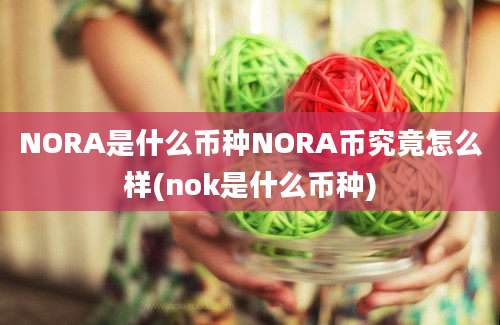 NORA是什么币种NORA币究竟怎么样(nok是什么币种)