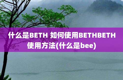 什么是BETH 如何使用BETHBETH使用方法(什么是bee)