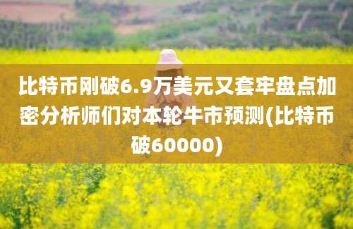 比特币刚破6.9万美元又套牢盘点加密分析师们对本轮牛市预测(比特币破60000)