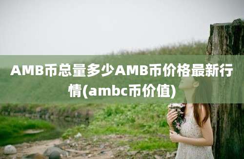 AMB币总量多少AMB币价格最新行情(ambc币价值)