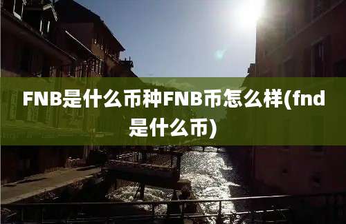 FNB是什么币种FNB币怎么样(fnd是什么币)