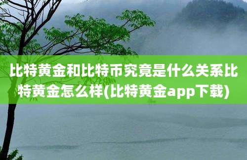 比特黄金和比特币究竟是什么关系比特黄金怎么样(比特黄金app下载)