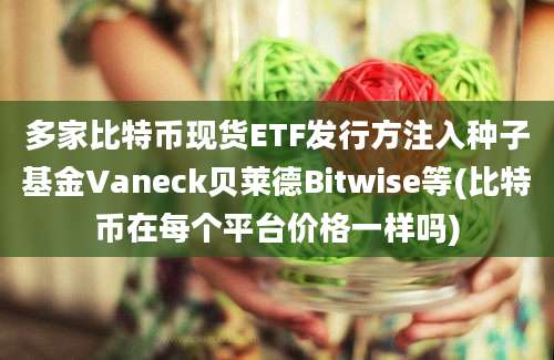 多家比特币现货ETF发行方注入种子基金Vaneck贝莱德Bitwise等(比特币在每个平台价格一样吗)